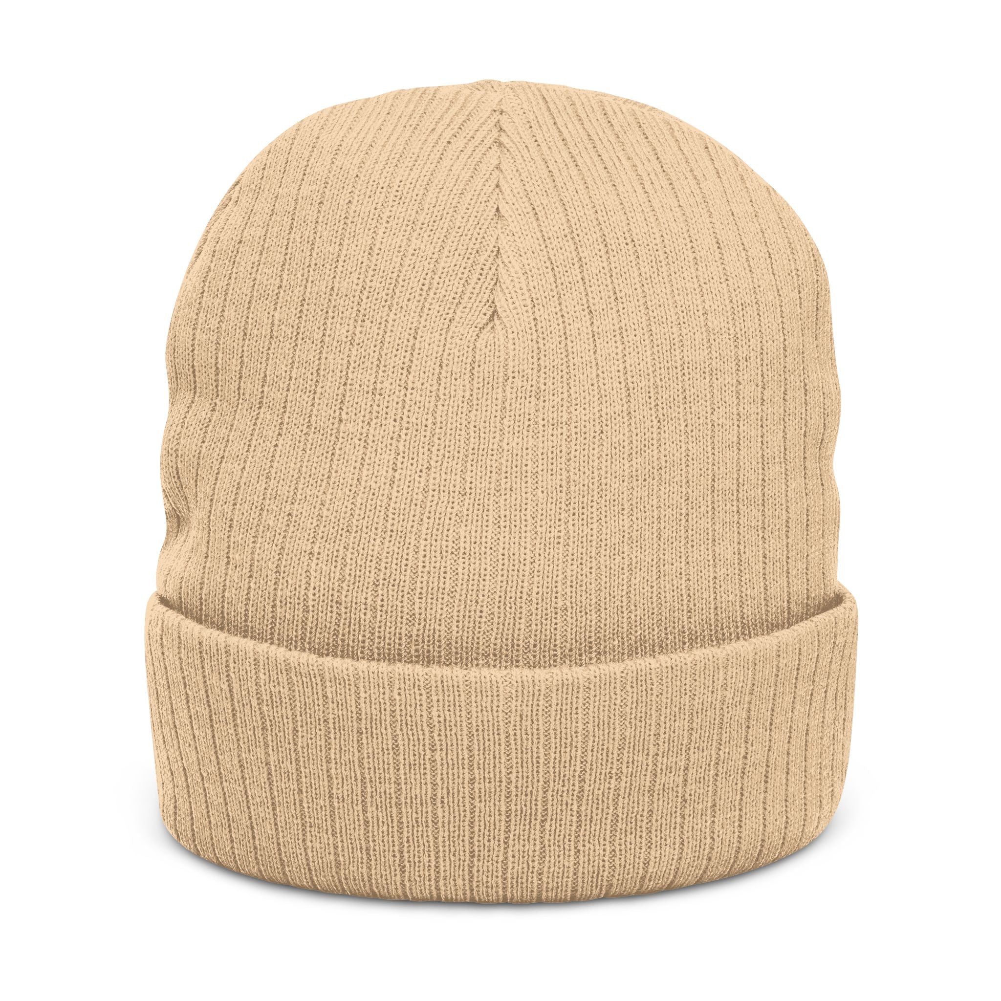 You've Got This Embroidered Ribbed Knit Beanie